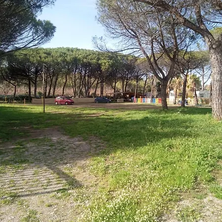 Glamping Pineta Campeggio